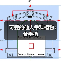 可爱的仙人掌科植物：金手指（图4）