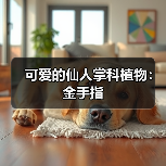 可爱的仙人掌科植物：金手指（图3）