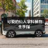 可爱的仙人掌科植物：金手指（图2）
