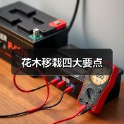 花木移栽四大要点（图2）