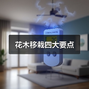 花木移栽四大要点