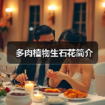 多肉植物生石花简介（图3）