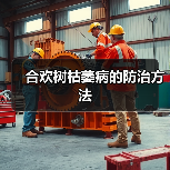 合欢树枯萎病的防治方法（图2）
