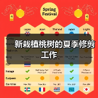 新栽植桃树的夏季修剪工作