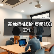 新栽植桃树的夏季修剪工作（图2）