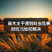 苗木主干遭到蛀虫危害时应当如何解决（图4）