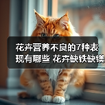 花卉营养不良的7种表现有哪些 花卉缺铁缺镁（图3）