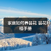 家庭如何养昙花 昙花种植手册（图1）