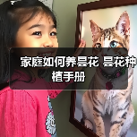 家庭如何养昙花 昙花种植手册（图3）