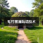 毛竹苗圃栽培技术