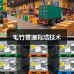 毛竹苗圃栽培技术（图3）