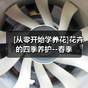 [从零开始学养花]花卉的四季养护--春季（图1）