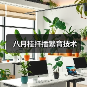 八月桂扦插繁育技术（图4）