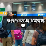 绿萝的常见病虫害有哪些