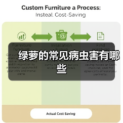 绿萝的常见病虫害有哪些（图4）
