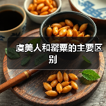 虞美人和罂粟的主要区别（图4）