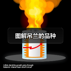 图解吊兰的品种