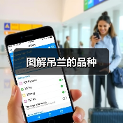 图解吊兰的品种（图3）