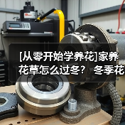 [从零开始学养花]家养花草怎么过冬？ 冬季花卉越冬养护最全攻略（图2）