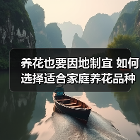养花也要因地制宜 如何选择适合家庭养花品种（图1）