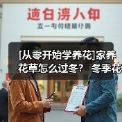 [从零开始学养花]家养花草怎么过冬？ 冬季花卉越冬养护最全攻略（图4）