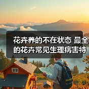 花卉养的不在状态 最全的花卉常见生理病害特征和防治手册（图1）
