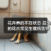 花卉养的不在状态 最全的花卉常见生理病害特征和防治手册（图2）