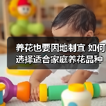 养花也要因地制宜 如何选择适合家庭养花品种（图2）