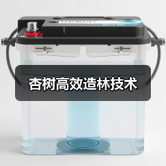 杏树高效造林技术（图4）