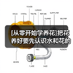 [从零开始学养花]把花养好要先认识水和花的关系