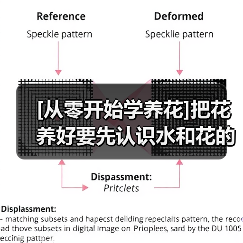 [从零开始学养花]把花养好要先认识水和花的关系（图4）