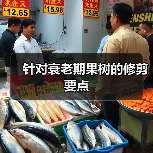 针对衰老期果树的修剪要点（图3）