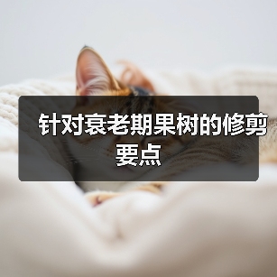 针对衰老期果树的修剪要点（图4）