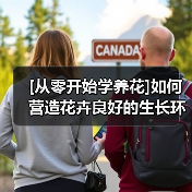 [从零开始学养花]如何营造花卉良好的生长环境：花卉生长最适宜的温度是多少（图2）
