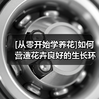 [从零开始学养花]如何营造花卉良好的生长环境：足够的水分（图4）