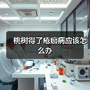 桃树得了疮痂病应该怎么办（图4）