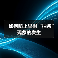 如何防止果树“抽条”现象的发生（图4）