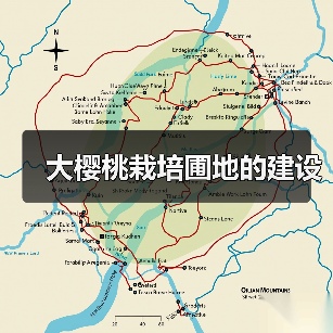 大樱桃栽培圃地的建设（图3）