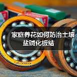 家庭养花如何防治土壤盐碱化板结
