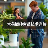 木荷播种育苗技术详解