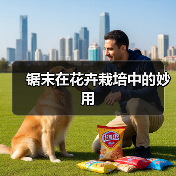 锯末在花卉栽培中的妙用