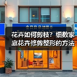花卉如何剪枝？细数家庭花卉修剪整形的方法和技巧（图2）