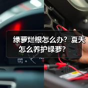 绿萝烂根怎么办？夏天怎么养护绿萝？（图2）