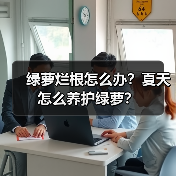 绿萝烂根怎么办？夏天怎么养护绿萝？（图4）