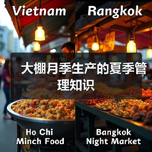 大棚月季生产的夏季管理知识（图4）