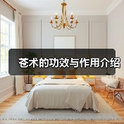 苍术的功效与作用介绍（图3）