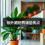 根外施肥有哪些优点（图2）