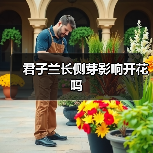 君子兰长侧芽影响开花吗
