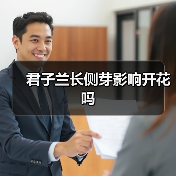 君子兰长侧芽影响开花吗（图2）