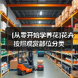 [从零开始学养花]花卉按照观赏部位分类（图3）